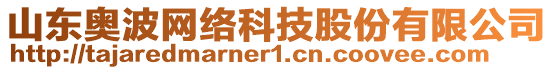 山東奧波網絡科技股份有限公司