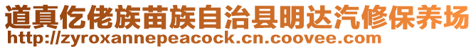 道真仡佬族苗族自治縣明達汽修保養(yǎng)場