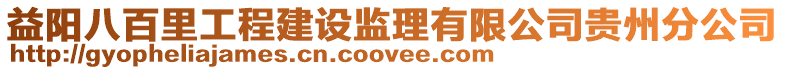 益陽八百里工程建設(shè)監(jiān)理有限公司貴州分公司