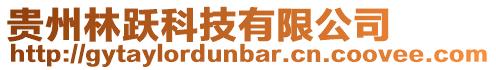 貴州林躍科技有限公司