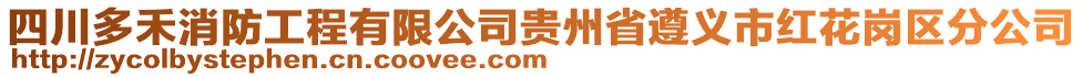 四川多禾消防工程有限公司貴州省遵義市紅花崗區(qū)分公司