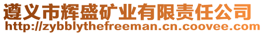 遵義市輝盛礦業(yè)有限責任公司