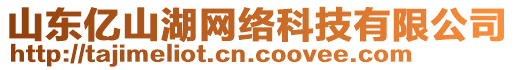 山東億山湖網絡科技有限公司