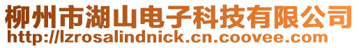 柳州市湖山電子科技有限公司