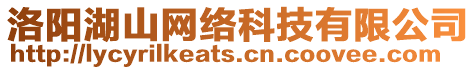 洛陽湖山網絡科技有限公司