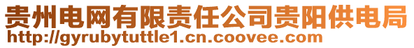 貴州電網(wǎng)有限責任公司貴陽供電局