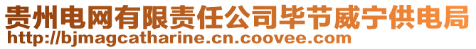 貴州電網有限責任公司畢節(jié)威寧供電局