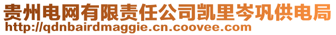 貴州電網(wǎng)有限責(zé)任公司凱里岑鞏供電局