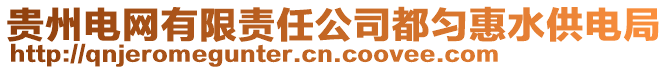 貴州電網有限責任公司都勻惠水供電局