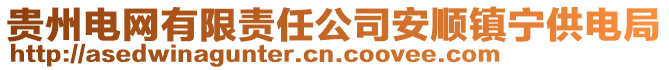 貴州電網有限責任公司安順鎮寧供電局