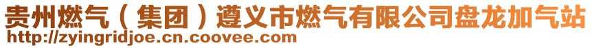 貴州燃?xì)猓瘓F）遵義市燃?xì)庥邢薰颈P龍加氣站