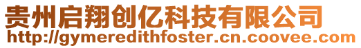 貴州啟翔創億科技有限公司