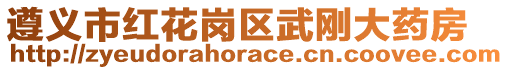 遵義市紅花崗區武剛大藥房