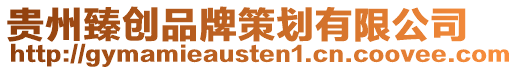 貴州臻創品牌策劃有限公司