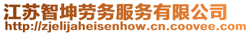 江蘇智坤勞務服務有限公司
