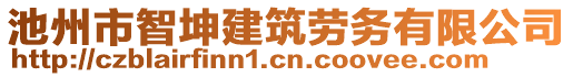 池州市智坤建筑劳务有限公司