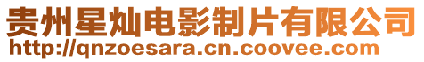 貴州星燦電影制片有限公司