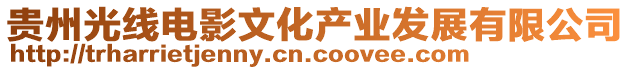 貴州光線電影文化產(chǎn)業(yè)發(fā)展有限公司