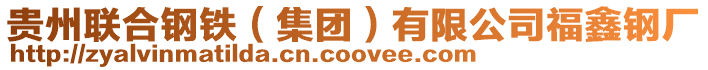 貴州聯合鋼鐵(集團)有限公司福鑫鋼廠