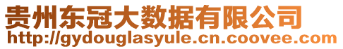 貴州東冠大數據有限公司