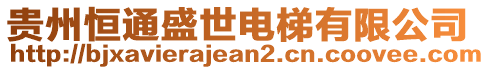 貴州恒通盛世電梯有限公司