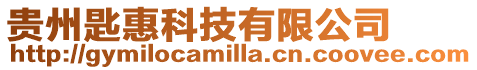 貴州匙惠科技有限公司