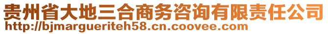 貴州省大地三合商務咨詢有限責任公司