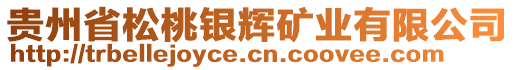 貴州省松桃銀輝礦業(yè)有限公司