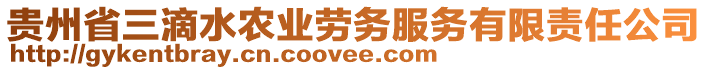 貴州省三滴水農(nóng)業(yè)勞務(wù)服務(wù)有限責(zé)任公司
