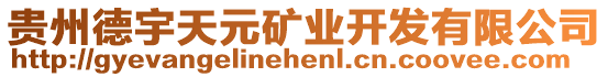貴州德宇天元礦業(yè)開(kāi)發(fā)有限公司