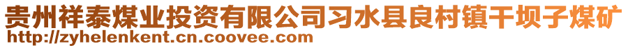 貴州祥泰煤業(yè)投資有限公司習(xí)水縣良村鎮(zhèn)干壩子煤礦