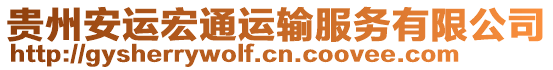 貴州安運宏通運輸服務有限公司