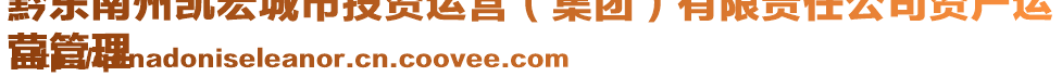 黔東南州凱宏城市投資運(yùn)營(yíng)（集團(tuán)）有限責(zé)任公司資產(chǎn)運(yùn)
營(yíng)管理