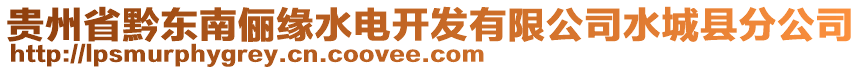 貴州省黔東南儷緣水電開發(fā)有限公司水城縣分公司