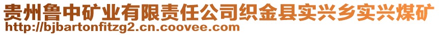 貴州魯中礦業(yè)有限責(zé)任公司織金縣實興鄉(xiāng)實興煤礦