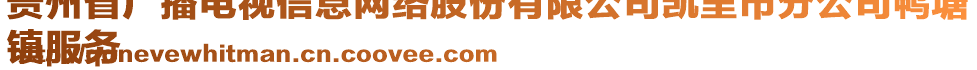 貴州省廣播電視信息網(wǎng)絡(luò)股份有限公司凱里市分公司鴨塘
鎮(zhèn)服務(wù)