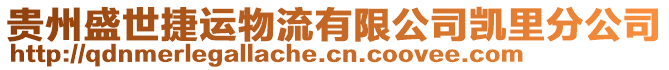 貴州盛世捷運物流有限公司凱里分公司