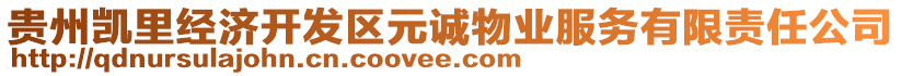 貴州凱里經(jīng)濟開發(fā)區(qū)元誠物業(yè)服務有限責任公司