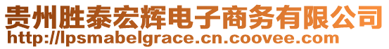 貴州勝泰宏輝電子商務(wù)有限公司