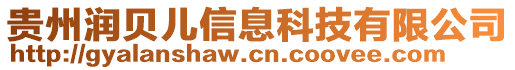 貴州潤貝兒信息科技有限公司