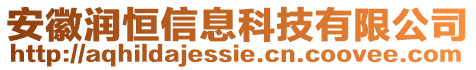 安徽潤恒信息科技有限公司