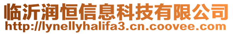 臨沂潤恒信息科技有限公司