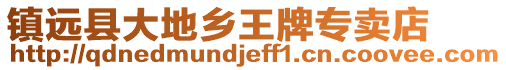 鎮遠縣大地鄉王牌專賣店
