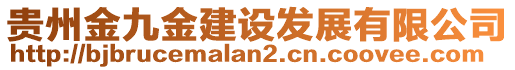 貴州金九金建設(shè)發(fā)展有限公司