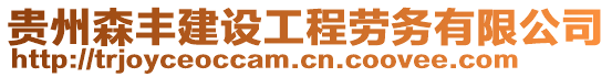 貴州森豐建設工程勞務有限公司