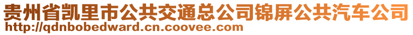 貴州省凱里市公共交通總公司錦屏公共汽車公司