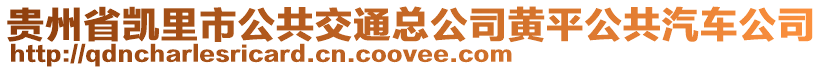 貴州省凱里市公共交通總公司黃平公共汽車公司