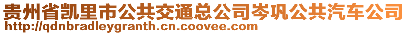 貴州省凱里市公共交通總公司岑鞏公共汽車公司