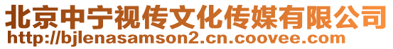 北京中寧視傳文化傳媒有限公司