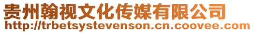 貴州翰視文化傳媒有限公司